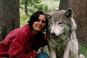 Husband and wife live for 6 years with Idaho wolf pack – It's Interesting