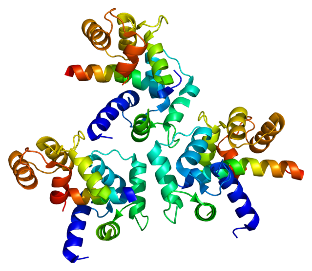 Protein_CACNA1C_PDB_2be6